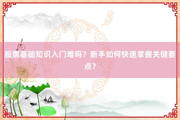 股票基础知识入门难吗？新手如何快速掌握关键要点？
