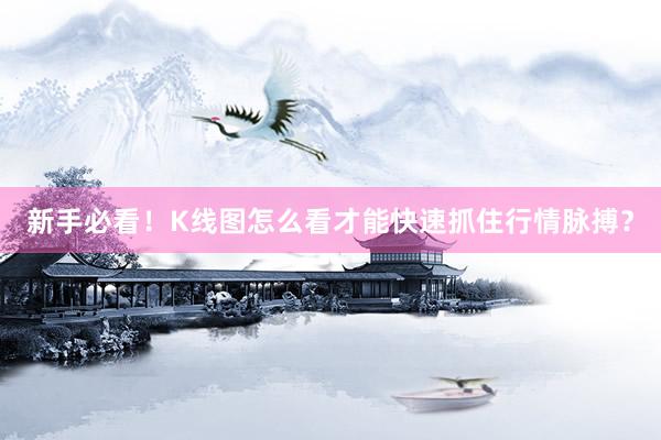 新手必看！K线图怎么看才能快速抓住行情脉搏？
