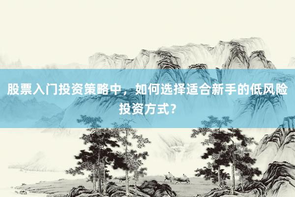 股票入门投资策略中，如何选择适合新手的低风险投资方式？