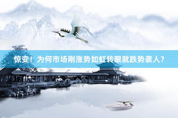 惊变！为何市场刚涨势如虹转眼就跌势袭人？