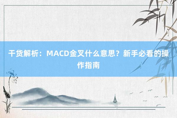 干货解析：MACD金叉什么意思？新手必看的操作指南