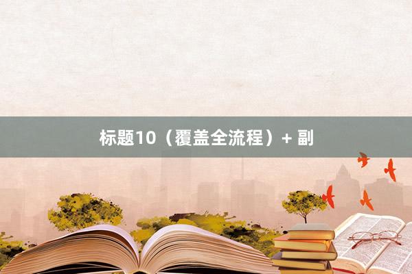 标题10（覆盖全流程）+ 副