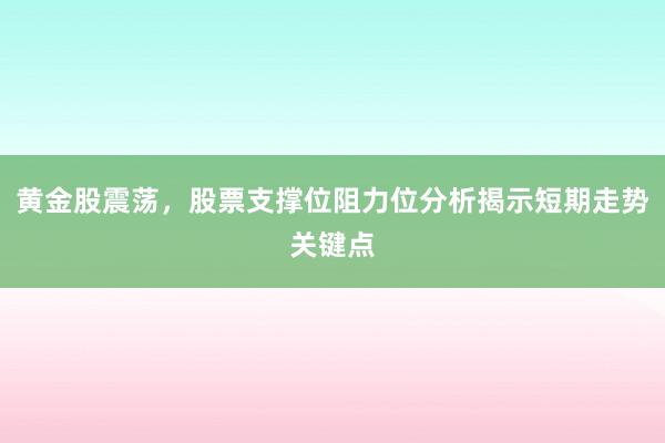 黄金股震荡，股票支撑位阻力位分析揭示短期走势关键点