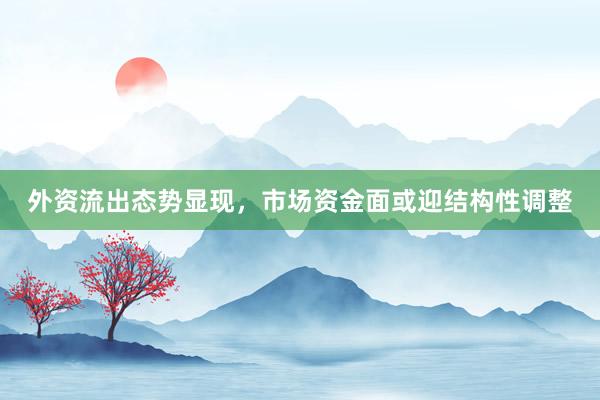 外资流出态势显现，市场资金面或迎结构性调整