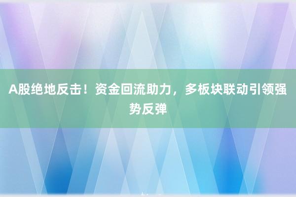 A股绝地反击！资金回流助力，多板块联动引领强势反弹