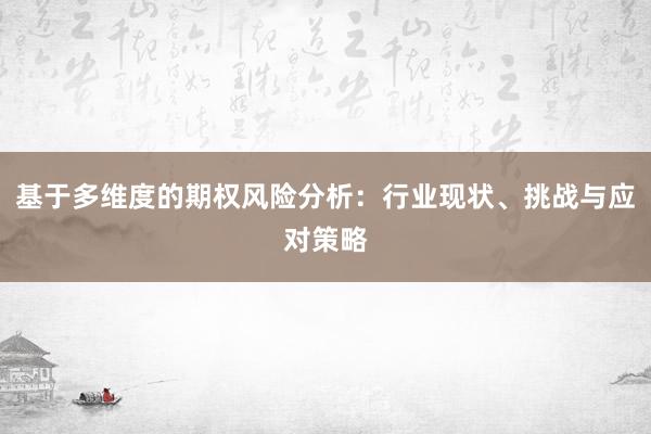 基于多维度的期权风险分析：行业现状、挑战与应对策略