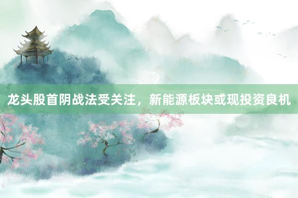 龙头股首阴战法受关注，新能源板块或现投资良机