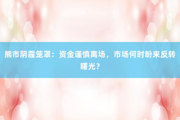 熊市阴霾笼罩：资金谨慎离场，市场何时盼来反转曙光？