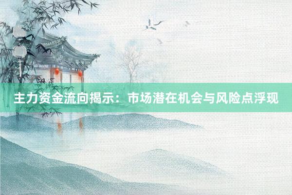 主力资金流向揭示：市场潜在机会与风险点浮现