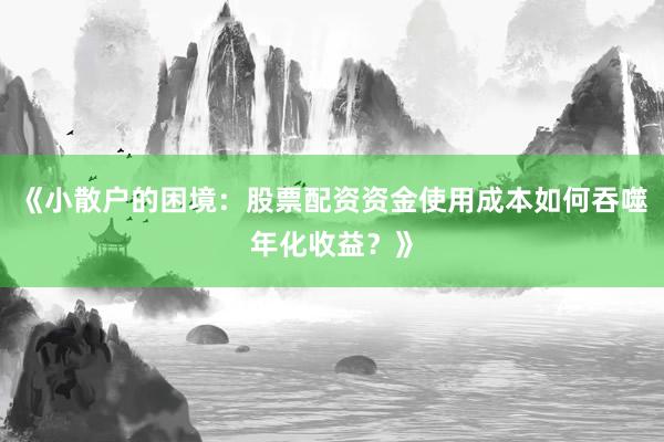《小散户的困境：股票配资资金使用成本如何吞噬年化收益？》