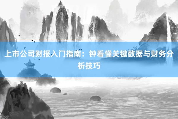 上市公司财报入门指南：钟看懂关键数据与财务分析技巧