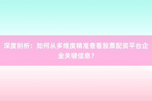深度剖析：如何从多维度精准查看股票配资平台企业关键信息？