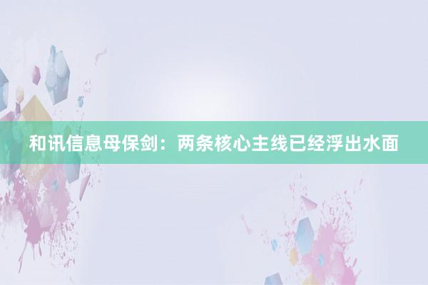 和讯信息母保剑：两条核心主线已经浮出水面