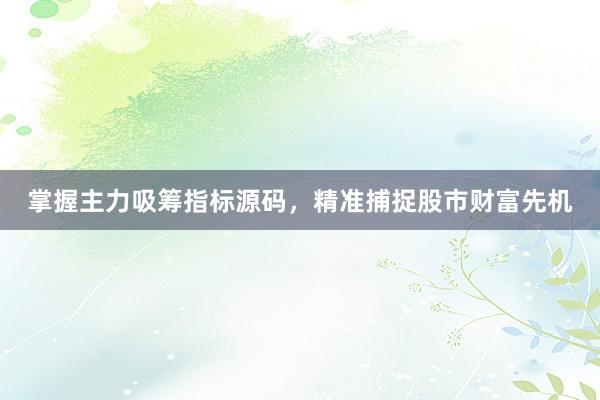 掌握主力吸筹指标源码，精准捕捉股市财富先机